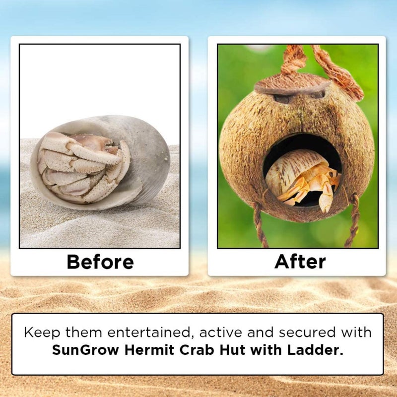 SunGrow Hermit Crab Coco Hut with Ladder, Hamster & Hermit Crab Hideout, Coconut Hide for Reptiles, Crab Cage Climbing Toys, Coconut Shell Mouse House, Habitat Tank Accessories, 5" - Image 4